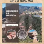 Descubre el Yacimiento de La Bastida